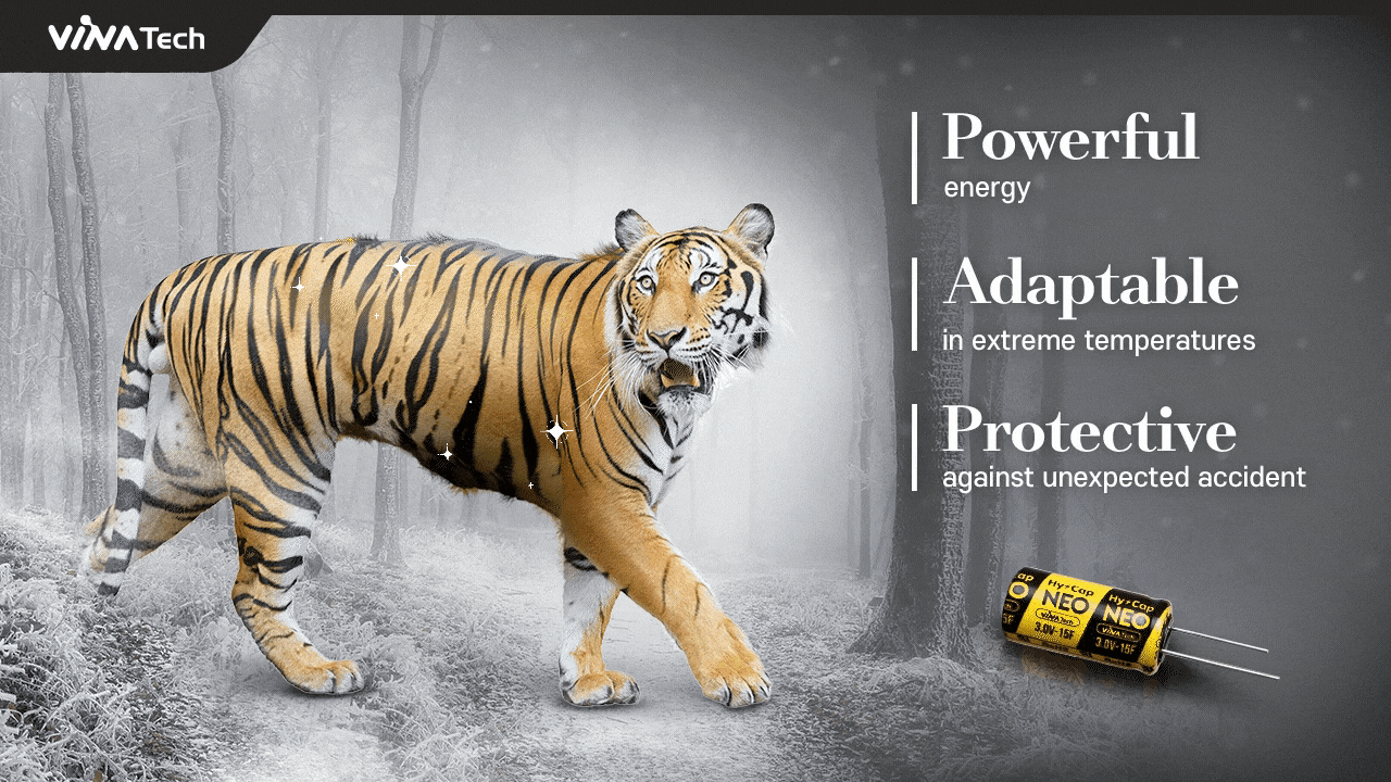 Happy new year of the tiger 2022!